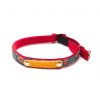 Collier pour chat Lucky dog