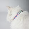 Collier pour chat Nebula