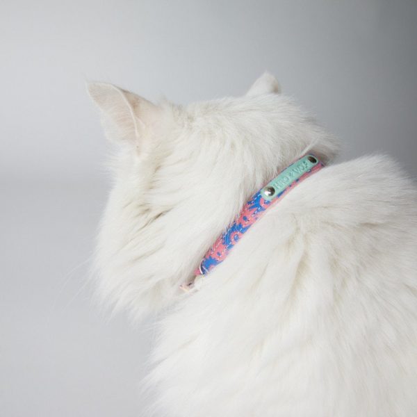 Collier pour chat Nebula
