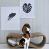 Griffoir pour chat design LUI My Kotty