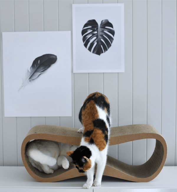 Griffoir pour chat design LUI My Kotty