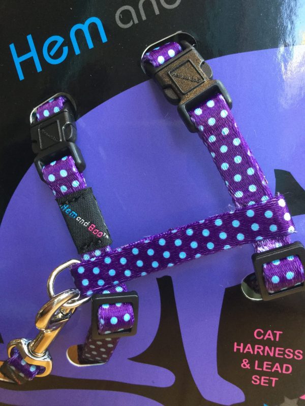 Harnais et Laisse à pois pour chat