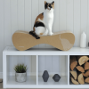 Griffoir design pour chat en carton - VIGO - MY KOTTY