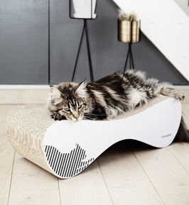 Griffoir design pour chat en carton - VIGO - MY KOTTY