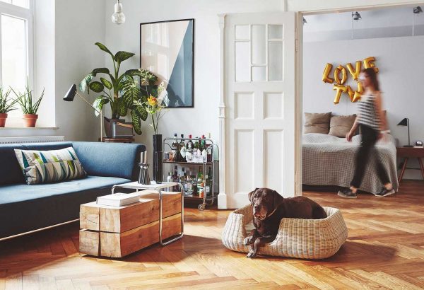 Panier en rotin pour chien Mio
