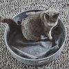 Panier pour chat design Cesto