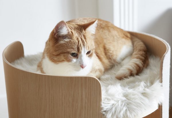 Coussin pour chat pour arbre à chat Torre