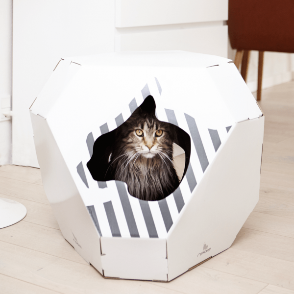 Maison en carton pour chat