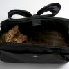 Sac de transport pour chats et petits chien Atom