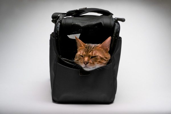 Sac de transport pour chats et petits chien Atom