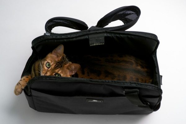 Sac de transport pour chats et petits chien Atom