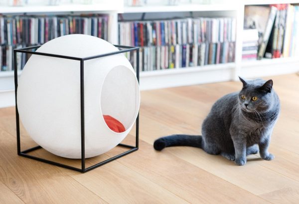 Le Cube Meyou